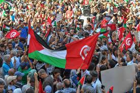 تونس تُثمّن التوصّل إلى اتفاق لوقف إطلاق النار في غزة